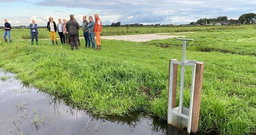 Foto van het bezoek van Friso Douwstra aan het lisdoddenteeltveld Hegewarren